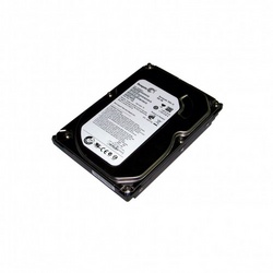 HDD 500 GB Seagate ST3500413AS